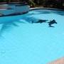 Горящие туры в отель Lost Horizon Beach Resort Dive - 4