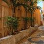 Горящие туры в отель Baan Kamala Hostel Guesthouse - 2