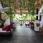Горящие туры в отель Riviera del Sol, Playa del Carmen - 5