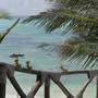 Горящие туры в отель Villa Fleur De Lys, Makunduchi - 3