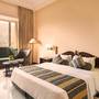 Горящие туры в отель KK Royal Hotel & Convention Centre, Jaipur - 4