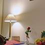 Горящие туры в отель KK Royal Hotel & Convention Centre, Jaipur - 3