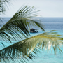 Горящие туры в отель The Manta Resort - 5