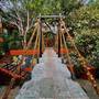 Горящие туры в отель Amazonika Boutique Resort - 3