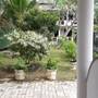 Горящие туры в отель Sea View Beach Resort - 2