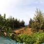 Горящие туры в отель Hibis Hotels and Resorts - 2