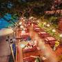 Горящие туры в отель Birds & Bees Resort - 5