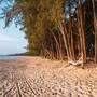 Горящие туры в отель Avani+ Khao Lak Resort - 1