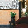 Горящие туры в отель Root Karakoy Hotel - 6