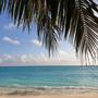 Горящие туры в отель Island Luxury Fulhadhoo Boutique Hotel - 4