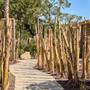 Горящие туры в отель Balmy Beach Resort Kemer - 5