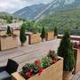 Горящие туры в отель Forrest Terrace Hotel - 1