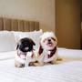 Горящие туры в отель Away Bangkok Riverside Kene - 5