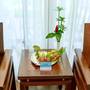 Горящие туры в отель Muine Pearl Resort - 4