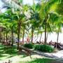 Горящие туры в отель Muine Pearl Resort - 5