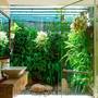Горящие туры в отель Muine Pearl Resort - 3