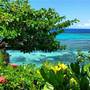 Горящие туры в отель Hibiscus Lodge Hotel Boutique - 5