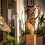Горящие туры в отель Ethno Belek - 1