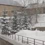 Горящие туры в отель University Hotel - 4