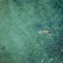 Горящие туры в отель Zelia Resort Halkidiki - 5