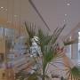 Горящие туры в отель Lotus Rise Hotel Adults Only - 6
