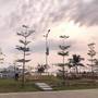 Горящие туры в отель Sun Bay Tuan Chau Hotel - 6