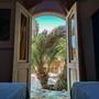 Горящие туры в отель Skyrock Garden Dahab - 1
