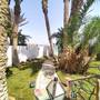 Горящие туры в отель Skyrock Garden Dahab - 3