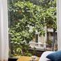Горящие туры в отель Eliana Signature Hanoi Hotel - 4