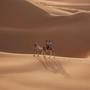 Горящие туры в отель Bab Al Nojoum Bateen Liwa - 6