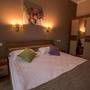 Горящие туры в отель Maxx Inn - 5