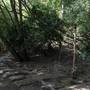 Горящие туры в отель Menjangan Ecolodge - 6