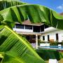 Горящие туры в отель Scuba Tribe Bali - 3