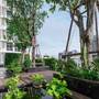 Горящие туры в отель Wyndham Garden Bangkok Sukhumvit 42 - 5