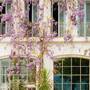 Горящие туры в отель Rooms Hotel Batumi - 2