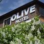 Горящие туры в отель Olive Hotel Bishkek - 2