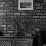 Горящие туры в отель Olive Hotel Bishkek - 6