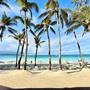 Горящие туры в отель Calypso Beach and Dive Resort - 2