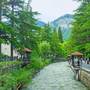 Горящие туры в отель Holiday Borjomi - 5