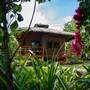 Горящие туры в отель Donatela Resort and Sanctuary - 2
