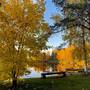 Горящие туры в отель Valday Hunting & Country Club - 4