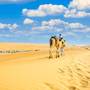Горящие туры в отель Arabian Nights Resort & Spa - 5