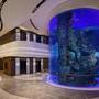 Горящие туры в отель Hong Kong Ocean Park Marriott Hotel - 4