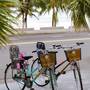 Горящие туры в отель Le Sands Oceanfront Danang Hotel - 3