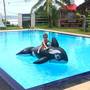 Горящие туры в отель Crystal Resort Dickwella - 5