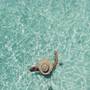 Горящие туры в отель Lighthouse Guesthouse - 6