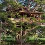 Горящие туры в отель Antonio Beach Tree House Hotel & Spa - 3