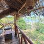 Горящие туры в отель Antonio Beach Tree House Hotel & Spa - 2