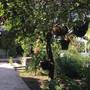 Горящие туры в отель Villa Siboney - 4