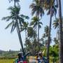 Горящие туры в отель Fairfield by Marriott Goa Calangute - 6